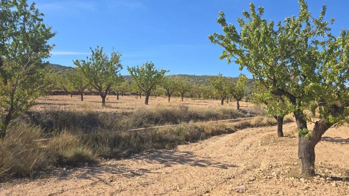 Image No.1-Land for sale