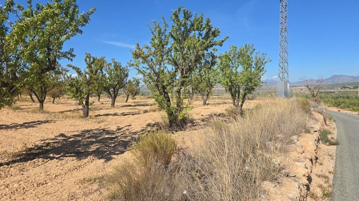 Image No.2-Land for sale