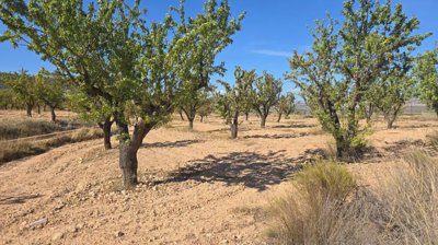 wwhatsapp-image-2025-09-12-at-164953