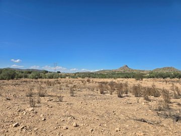 wwhatsapp-image-2025-09-12-at-161725-1-