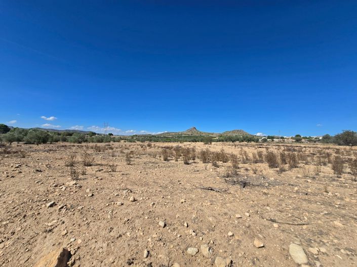 Image No.3-Land for sale