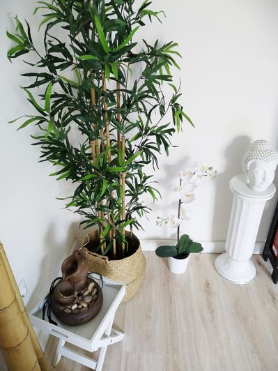 Image No.5-3 Bed Apartment for sale