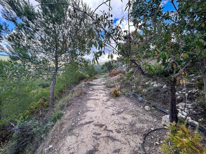 Image No.41-2 Bed Finca for sale