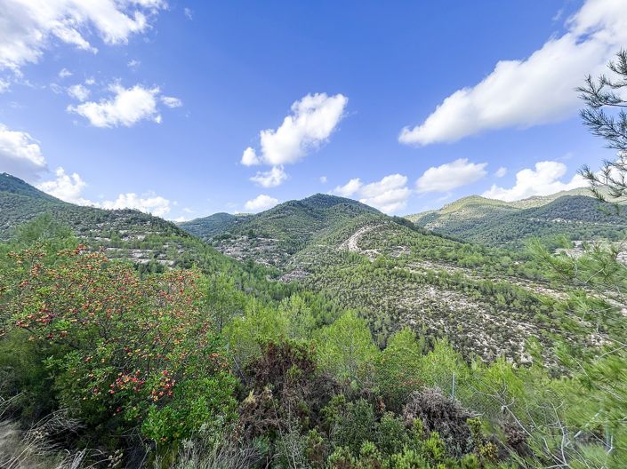 Image No.42-2 Bed Finca for sale