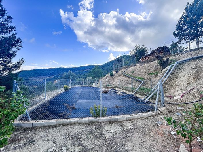 Image No.43-2 Bed Finca for sale