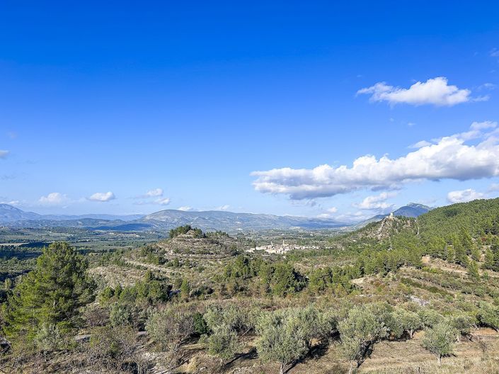 Image No.44-2 Bed Finca for sale