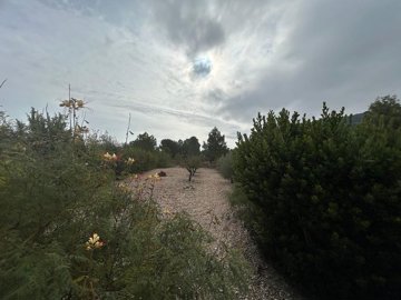 w8d25r2bdud0apzeqvuqz