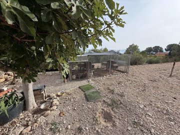 wnvcgykaiuq6zva38hqdq