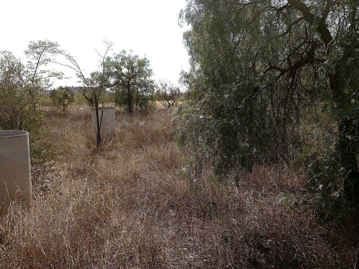 Image No.33-2 Bed House for sale