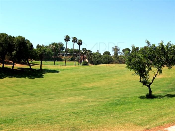 Image No.34-3 Bed House for sale