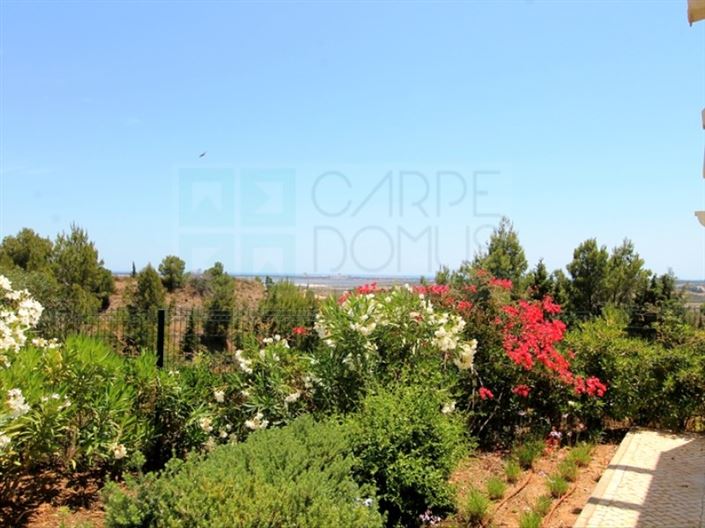 Image No.8-3 Bed House for sale