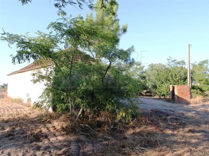 Image No.15-3 Bed Farmhouse for sale