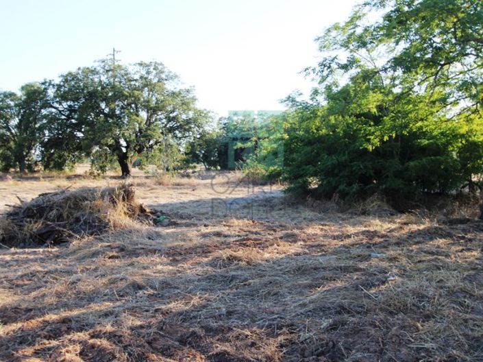 Image No.13-3 Bed Farmhouse for sale