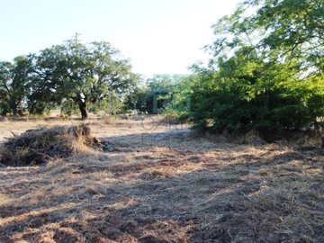 idc89b2c01-0000-0500-0000-00000c91018a