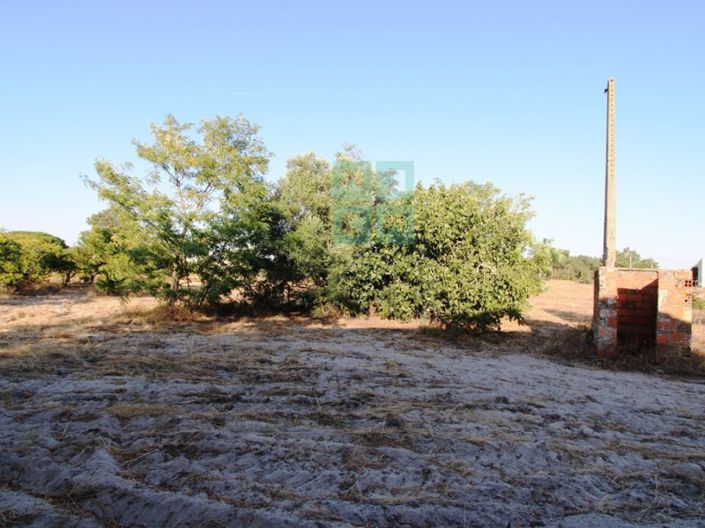 Image No.16-3 Bed Farmhouse for sale