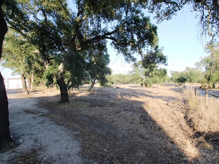 Image No.26-3 Bed Farmhouse for sale