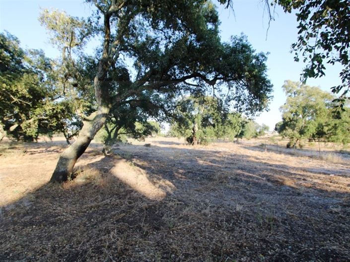 Image No.28-3 Bed Farmhouse for sale