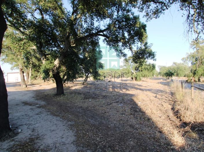 Image No.26-3 Bed Farmhouse for sale