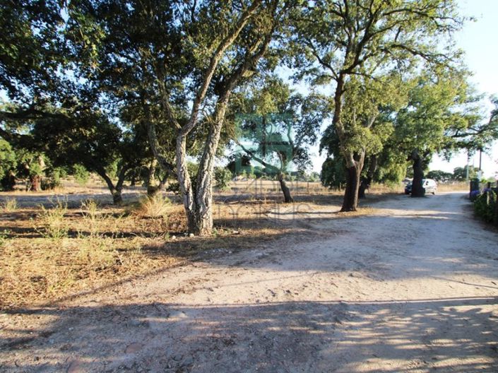 Image No.27-3 Bed Farmhouse for sale