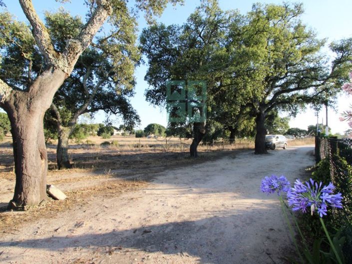 Image No.29-3 Bed Farmhouse for sale