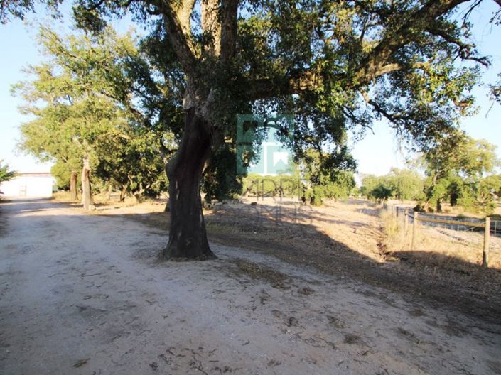 Image No.30-3 Bed Farmhouse for sale