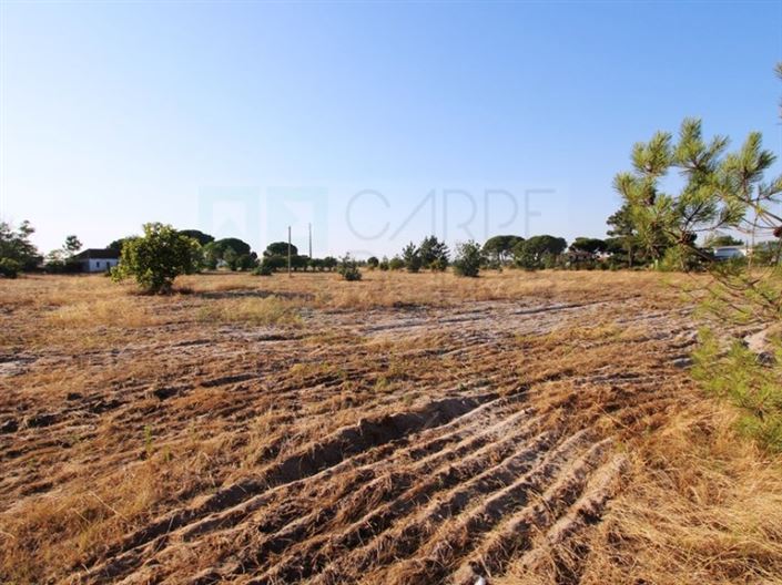 Image No.9-3 Bed Farmhouse for sale