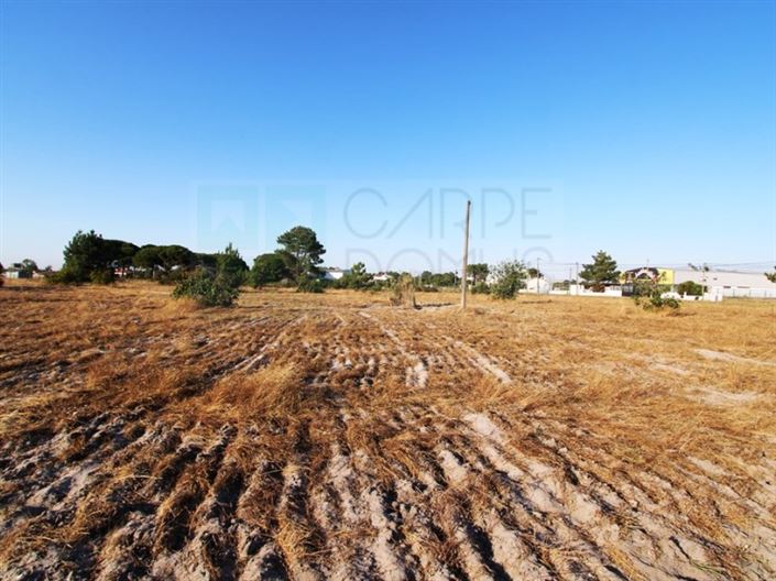 Image No.10-3 Bed Farmhouse for sale