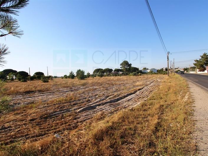 Image No.11-3 Bed Farmhouse for sale