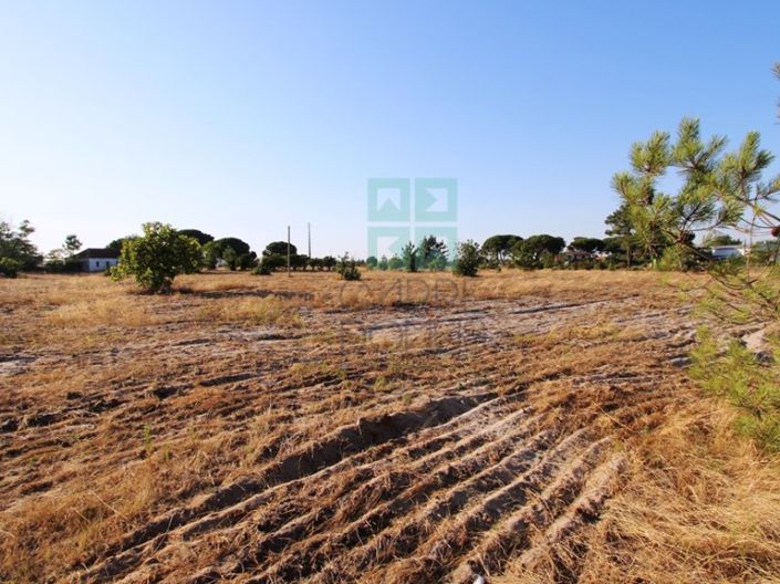 Image No.9-3 Bed Farmhouse for sale