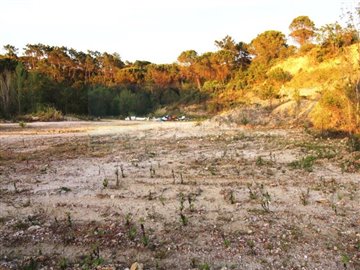 1 - Coimbra, Plot