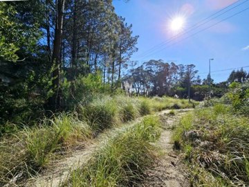 id70e23e01-0000-0500-0000-000014431a39