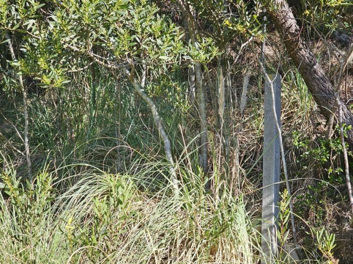 Image No.11-Plot for sale