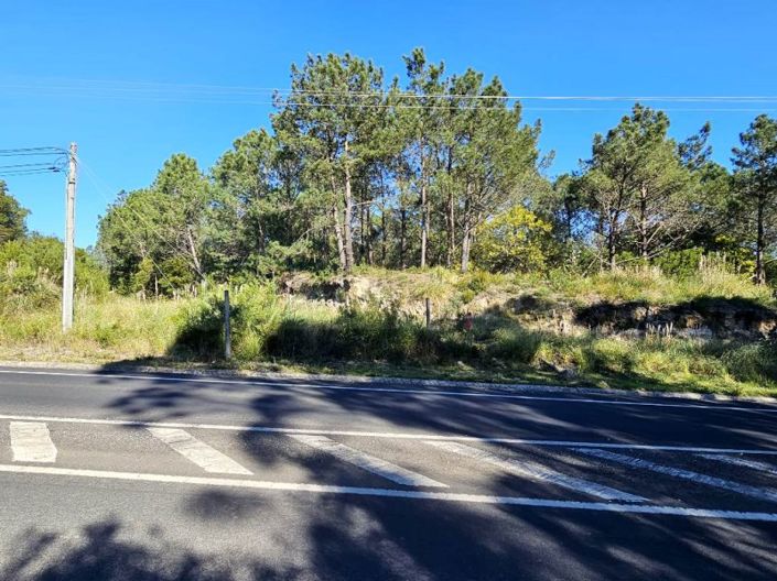 Image No.13-Plot for sale