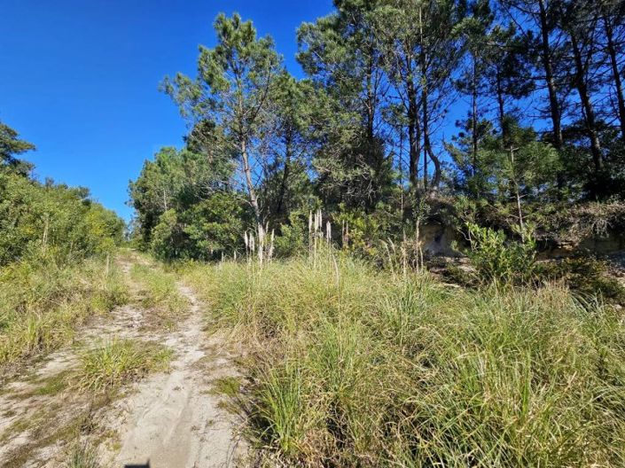 Image No.14-Plot for sale