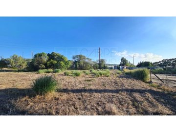 id05177001-0000-0500-0000-000011c8e649