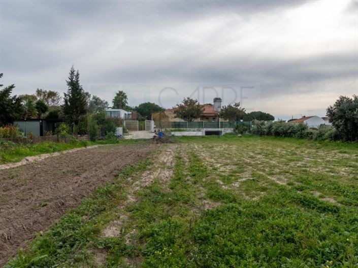 Image No.42-4 Bed House for sale