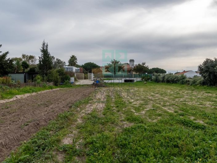 Image No.42-4 Bed House for sale