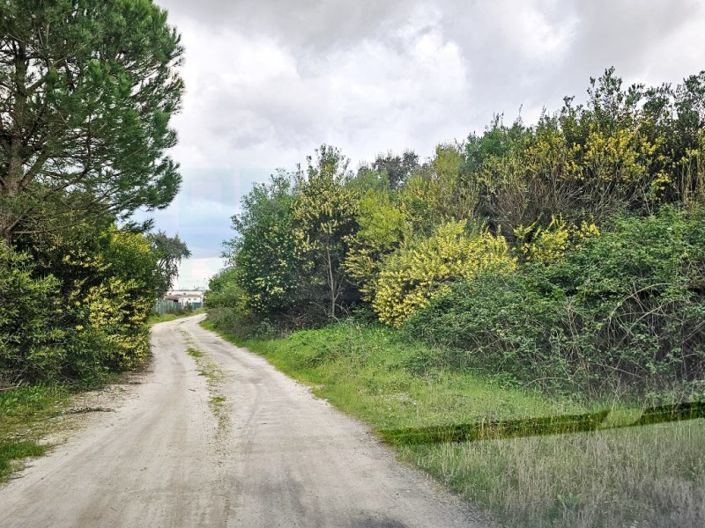 Image No.12-Plot for sale