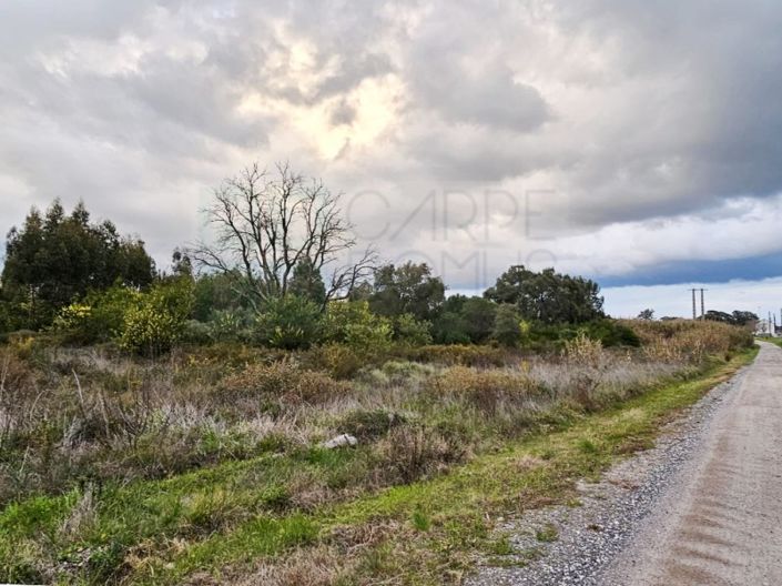 Image No.17-Plot for sale