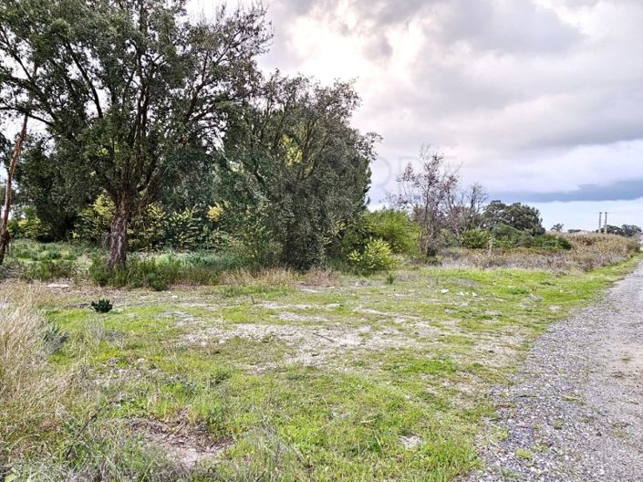 Image No.18-Plot for sale