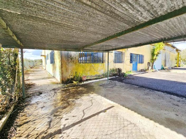 Image No.10-Property for sale