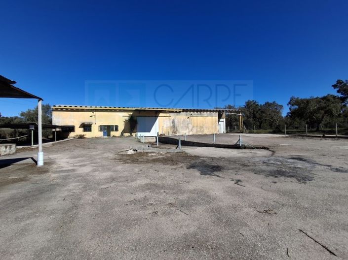 Image No.43-Property for sale