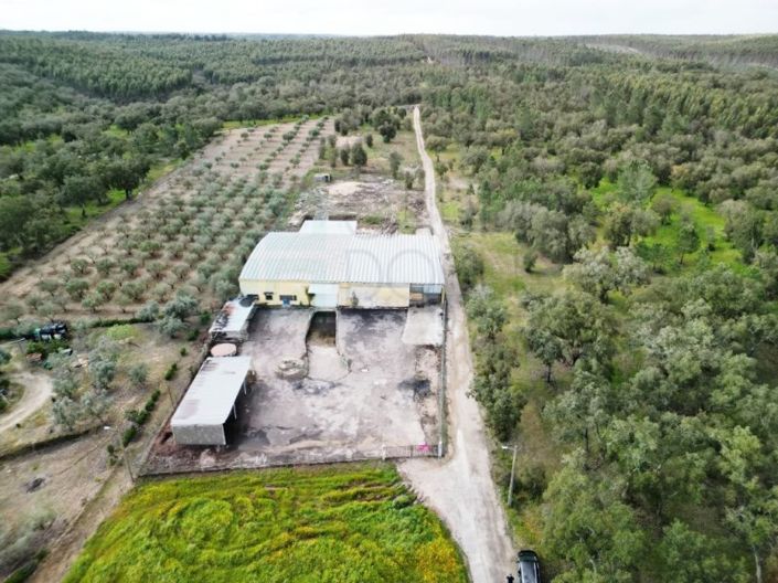 Image No.3-Property for sale