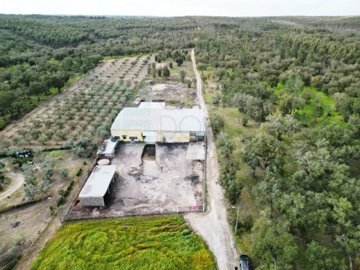 id7d0f9801-0000-0500-0000-00001551befd