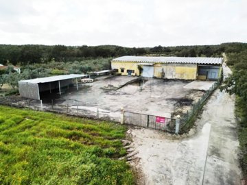 id7d0f9801-0000-0500-0000-00001551beff