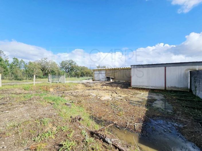 Image No.56-Property for sale