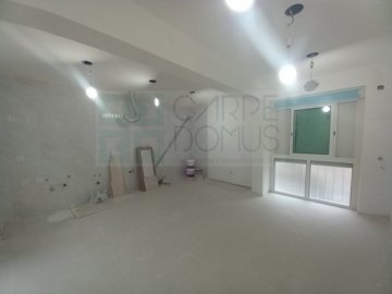 ide198a901-0000-0500-0000-000016d43d67