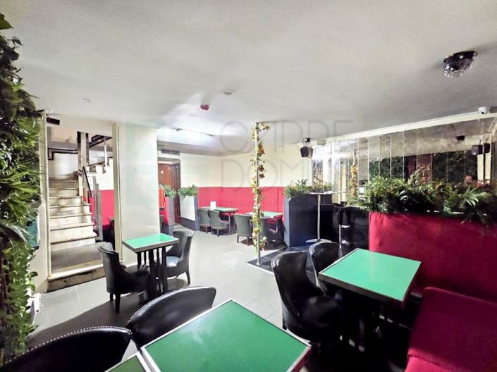 Image No.3-Commercial for sale