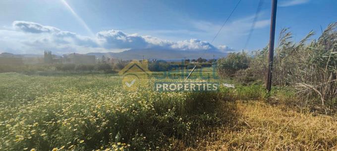 Image No.2-Plot for sale