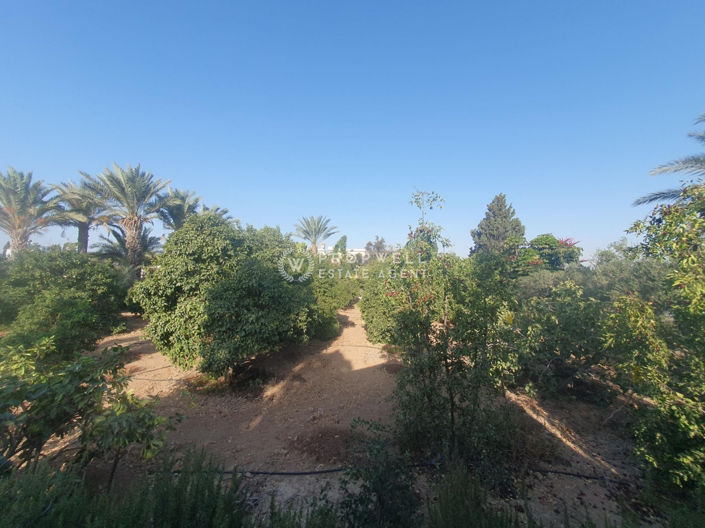 Image No.20-3 Bed Villa for sale